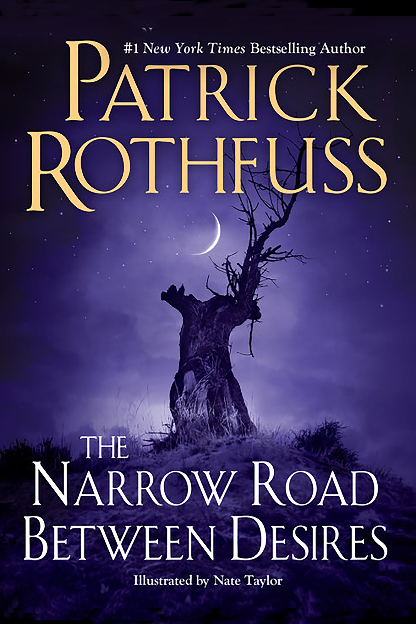 The Narrow Road Between Desires by Patrick Rothfuss (Unsigned)