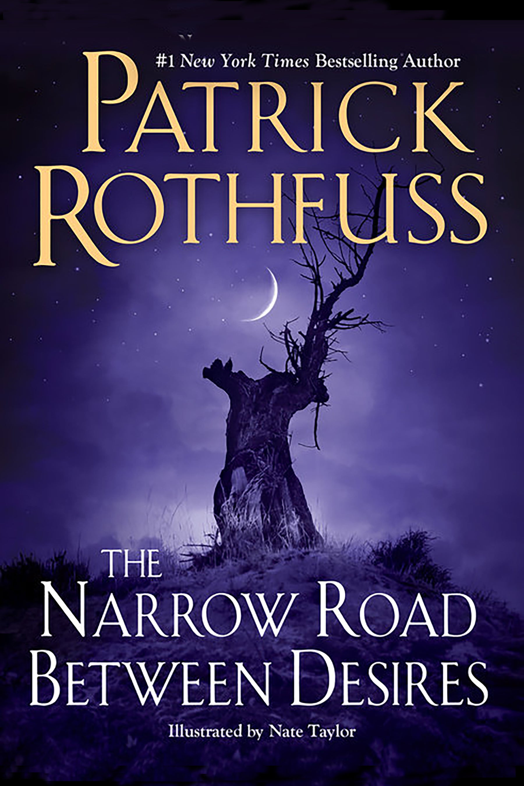 The Narrow Road Between Desires by Patrick Rothfuss (Unsigned) – The ...